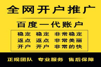 某品牌的信息流广告投放策略及效果展示